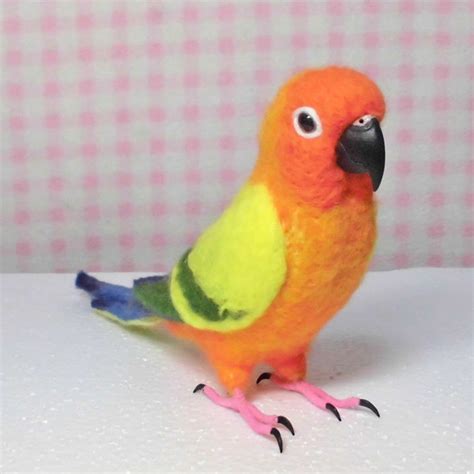 Sun Conure Etsy