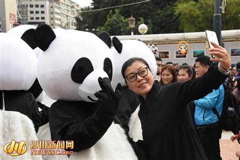 首屆香港歡樂春節文化廟會：憨萌！四川「熊貓」香港猛圈粉 每日頭條