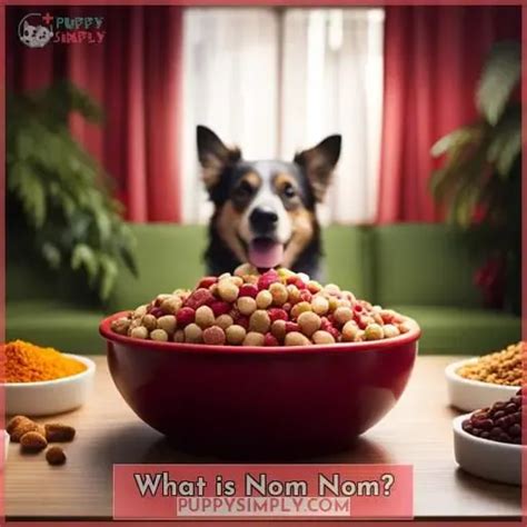 Nom Nom Dog Food Review: Fresh, High-Quality, and Delicious