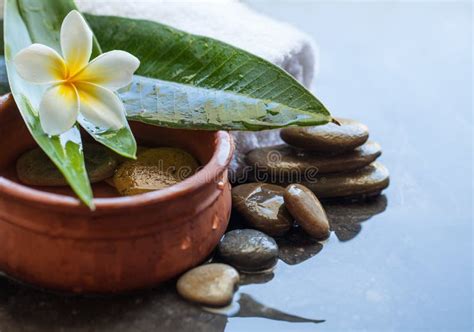 Objetos Dos Termas Pedras Flor Folhas Para O Tratamento Da Massagem