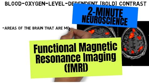 2 Minute Neuroscience Functional Magnetic Resonance Imaging FMRI