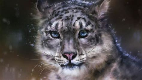 Wallpaper Animals Rock Winter Wildlife Big Cats Wilderness