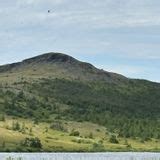 Gull Island Boardwalk Newfoundland And Labrador Canada Reviews