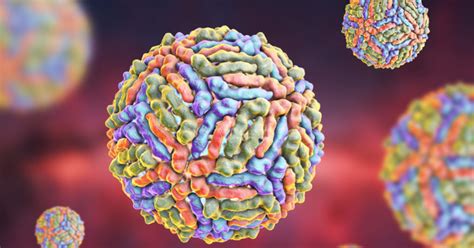 Infecci N Por El Virus Del Nilo Occidental Wnv Rekom Biotech S L