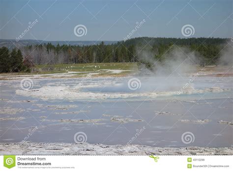 An Active Thermal Pool At Yellowstone Park Stock Image Image Of