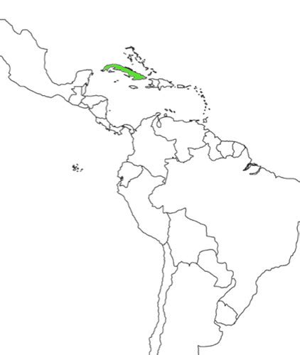 Central And South America Map Flashcards Quizlet