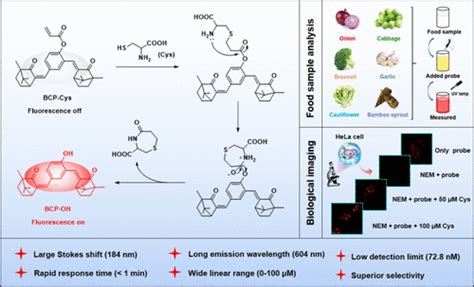 Novel Bis Camphor Derived Colorimetric And Fluorescent Probe For Rapid