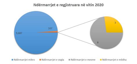 Shumica e ndërmarrjeve të reja në Kosovë janë mikro Një udhërrëfyes