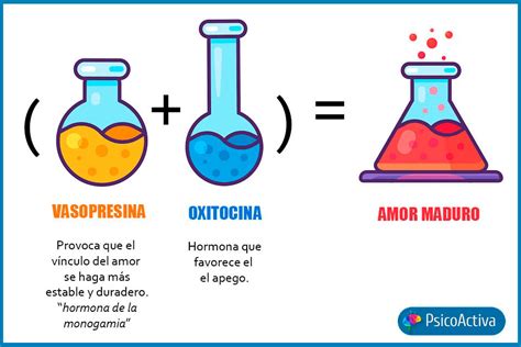 La Oxitocina Y Sus Efectos