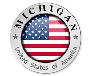 Free Michigan License Plate Lookup | Enter Any MI License Plate