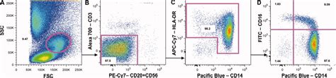 Evaluation Of A 12‐color Flow Cytometry Panel To Study Lymphocyte