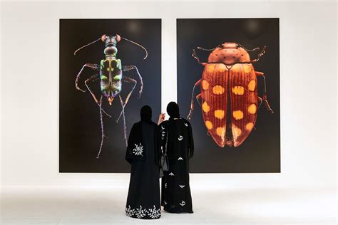 Microsculpture The Insect Portraits of Levon Biss 牛津大學自然歷史博物館 英國牛津