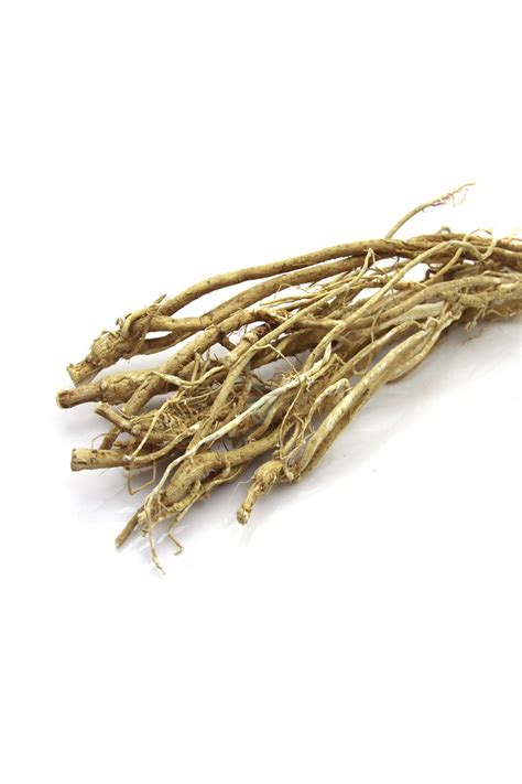 Naturdan Çin Geveni 100 gr Geven Otu Astragalus Fiyatı Yorumları