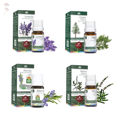 Kit 4 Óleos Essenciais wnf Lavanda Alecrim Cedro e Menta Piperita