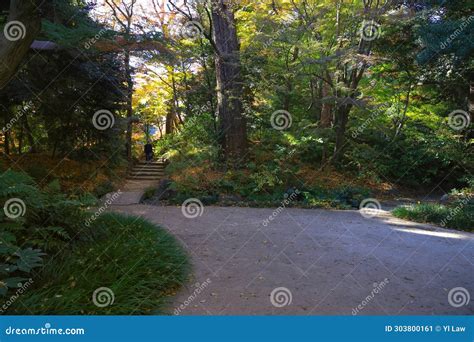 Walkway Landscape Shots At Koishikawa Korakuen Garden Nov