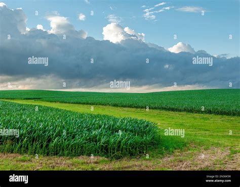 Iowa corn fields hi-res stock photography and images - Alamy