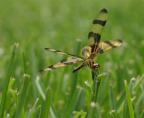 How to Activate Your Sportsman's Guide Credit Card Online 24