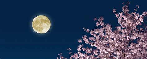 April's Full Moon Is 2021's First Supermoon! Here's When to Look For It ...