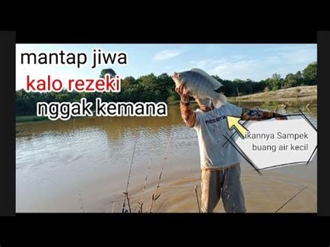 Mancing Nila Babon Di Sungai Batang Tebo Youtube