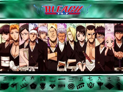 Bleach Characters Captains And Lieutenants