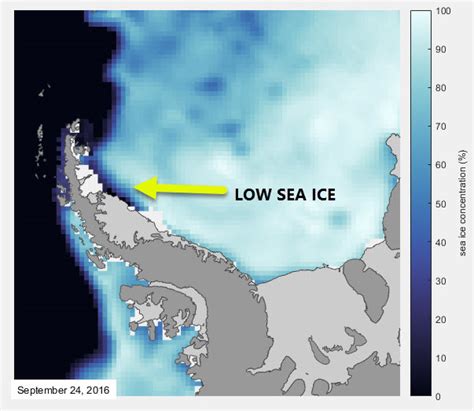 Low Antarctic Sea Ice Extent | Mallemaroking