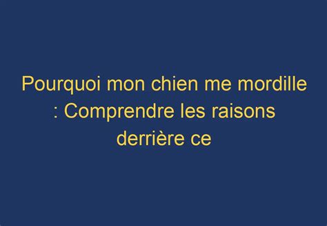 Pourquoi mon chien me mordille Comprendre les raisons derrière ce