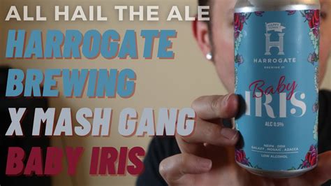 Harrogate Brewing X Mash Gang Baby Iris Ddh Neipa Review Youtube