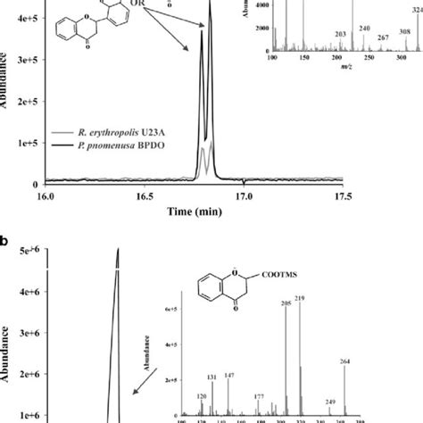 A Total Ion Chromatogram Showing The Peaks Of The Two Metabolites Download Scientific Diagram