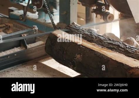 Closeup Of Cut Pine Tree Log On Sawing Machine At Wood Production