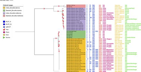 Whole Genome Phylogenetic Analysis Comparison Of Whole Genome