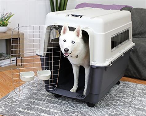 The 12 Best Large Dog Kennels: Hard and Soft-Sided Crates for Big Dogs