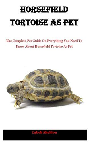 Horsefield Tortoise As Pet The Complete Pet Guide On Everything You