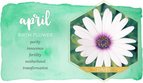 Birth Month Flowers And Their Meanings April Birth Flower Birth