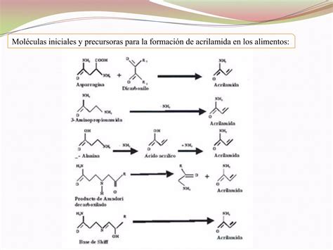 Reaccion De Maillard