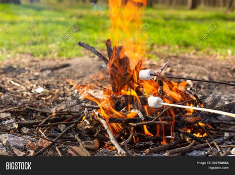 Camping Bonfire, Image & Photo (Free Trial) | Bigstock