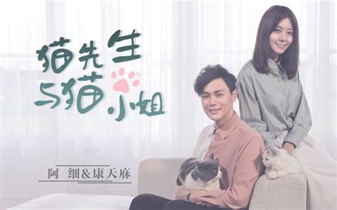 最理想的状态就是猫式恋爱？ 李俊毅and阿细《猫先生与猫小姐》官方mv 阿细 阿细 哔哩哔哩视频