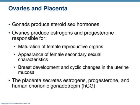 The Endocrine System Part B Ppt Download