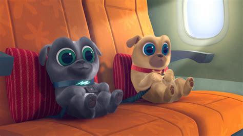 Puppy Dog Pals - Disney+