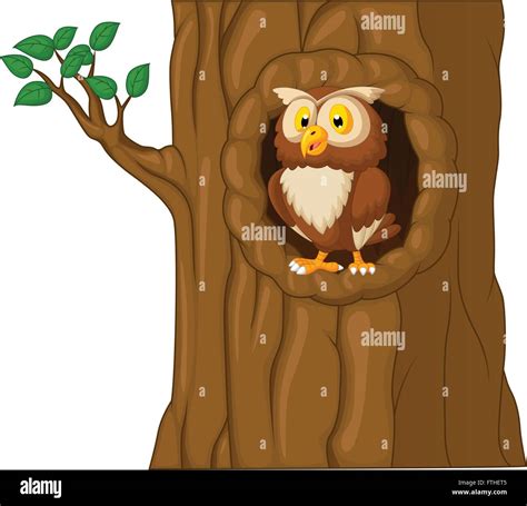 Cartoon B Ho En El Rbol Imagen Vector De Stock Alamy