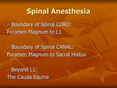 Ppt Spinal Anesthesia Powerpoint Presentation Free Download Id386249