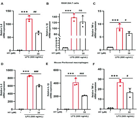 A C Real Time Quantitative Polymerase Chain Reaction Rt Qpcr For