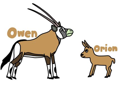 Owen And Orion Oryx By Thomascarr On Deviantart