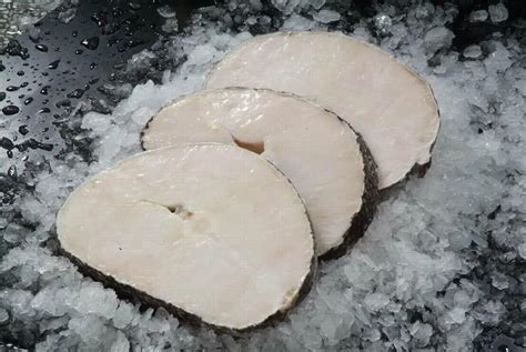 Chilean Sea Bass (patagonian Toothfish) - Buy Seabass,Fresh Sea Bass ...