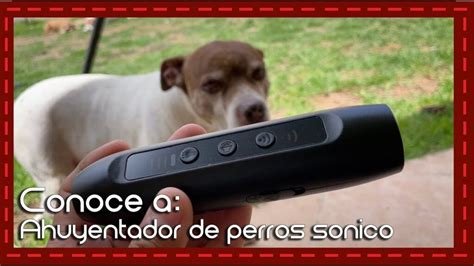 Ahuyentar Perros Con Ultrasonidos La Soluci N Efectiva Para Mantener A