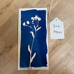 Amazon Jacquard Cyanotype For Photographic Blueprints On Paper