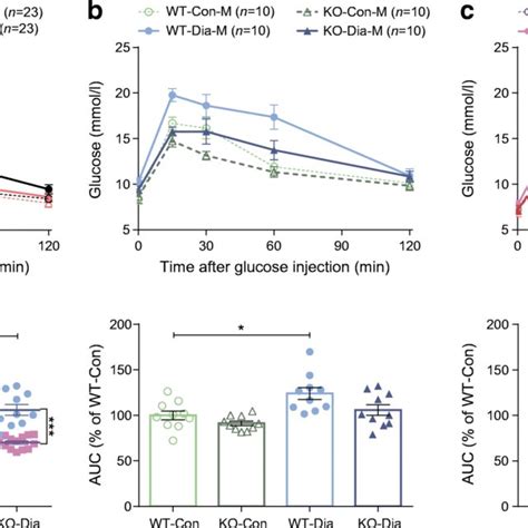 Ist And Ist Auc Of Wt Con Quantification 090 Min In Age And