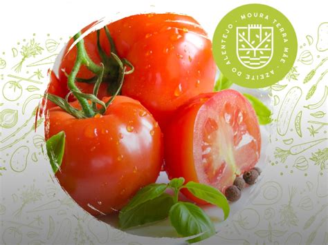 Tradição e Sabor Moura Celebra o Fim de Semana Gastronómico Tomate