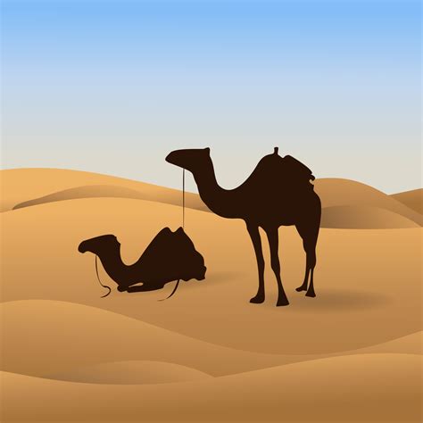 Silhouette Camel In Desert Nature Panoramic Sand Landscape Vector