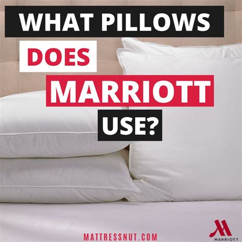 What Pillows Does Marriott Use Find Out The Type And The Brand Of Hotels