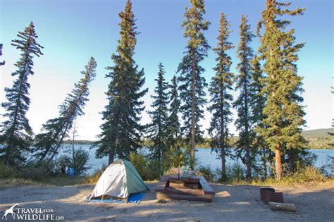 How to Find Free Camping in BC, Canada - Travel For Wildlife